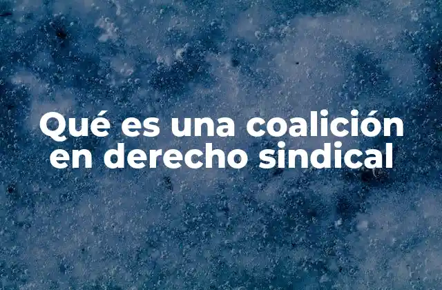 Qué es una Coalición en Derecho Sindical