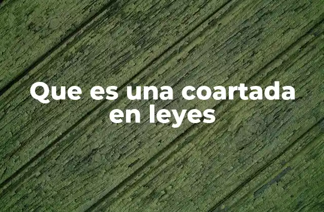 Que es una Coartada en Leyes