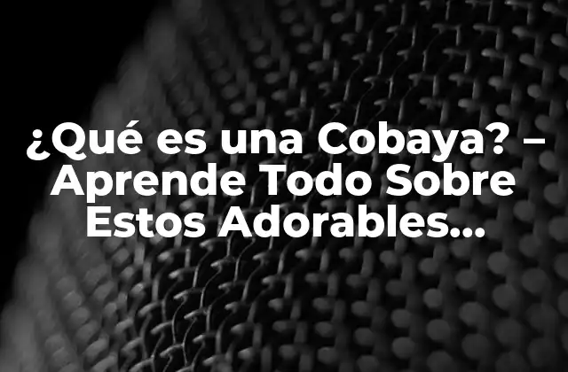 ¿qué es una Cobaya? – Aprende Todo sobre Estos Adorables Animales