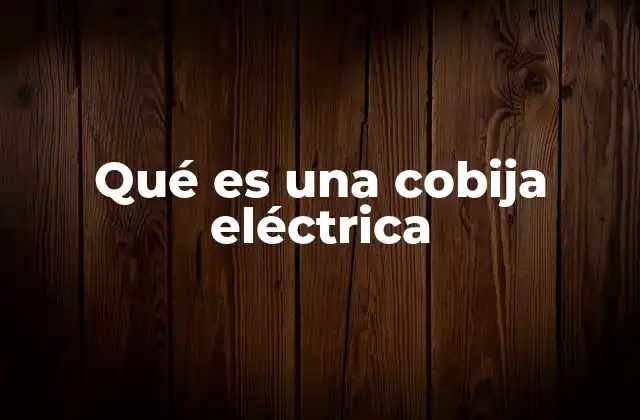 Qué es una Cobija Eléctrica