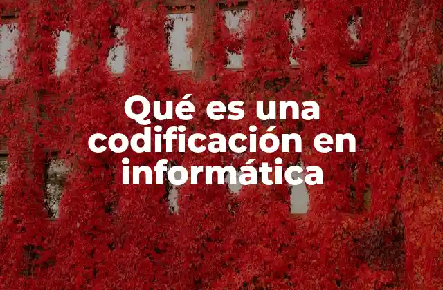Qué es una Codificación en Informática