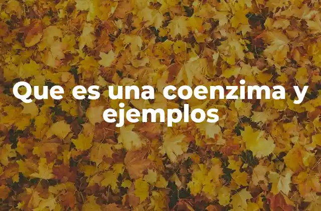 Que es una Coenzima y Ejemplos