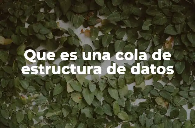 Que es una Cola de Estructura de Datos