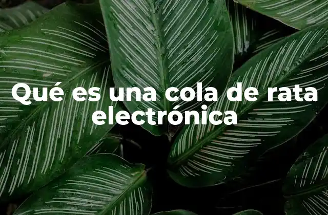 Qué es una Cola de Rata Electrónica