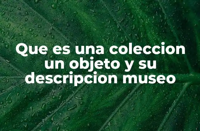 Que es una Coleccion un Objeto y Su Descripcion Museo