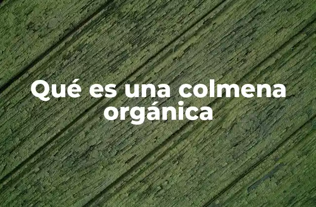 Qué es una Colmena Orgánica
