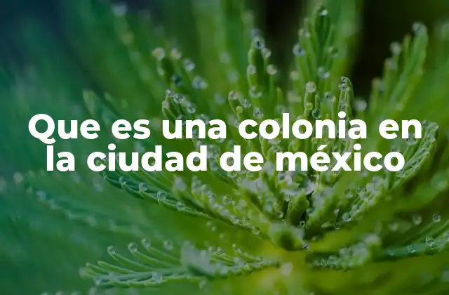 Que es una Colonia en la Ciudad de México
