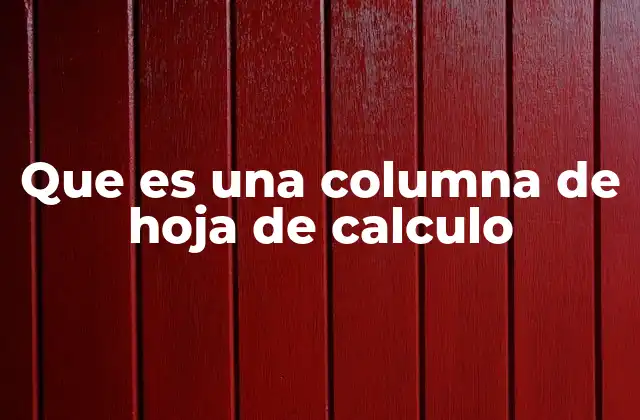 Que es una Columna de Hoja de Calculo