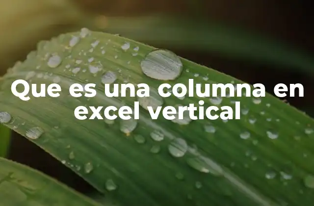 Que es una Columna en Excel Vertical