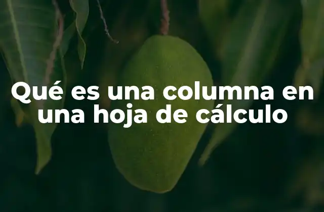 Qué es una Columna en una Hoja de Cálculo