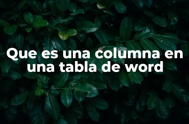 Que es una Columna en una Tabla de Word
