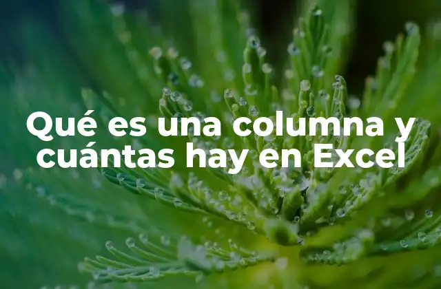 Qué es una Columna y Cuántas Hay en Excel