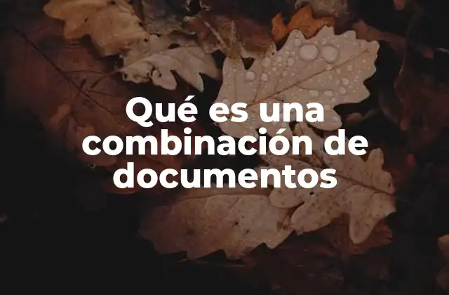 Qué es una Combinación de Documentos