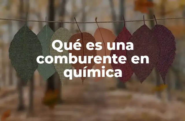 Qué es una Comburente en Química 2 El papel del comburente en la combustión
