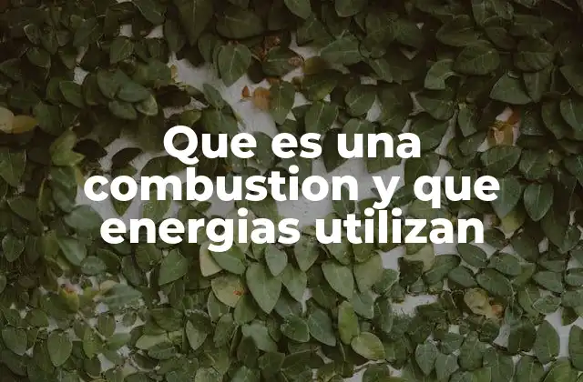 Que es una Combustion y que Energias Utilizan