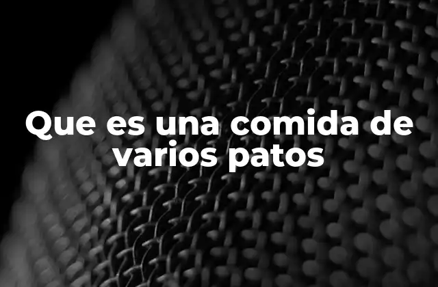 Que es una Comida de Varios Patos