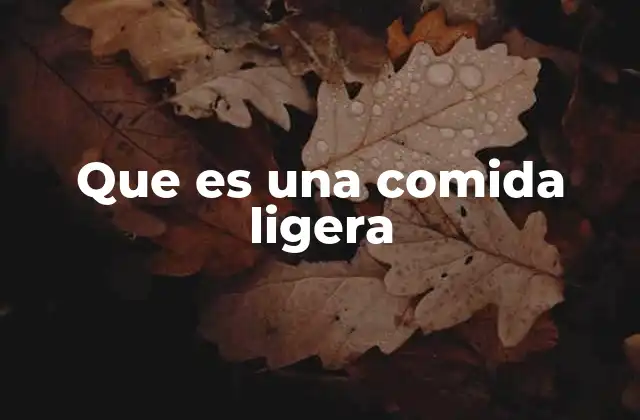Que es una Comida Ligera 2 La importancia de las opciones saludables en el día a día