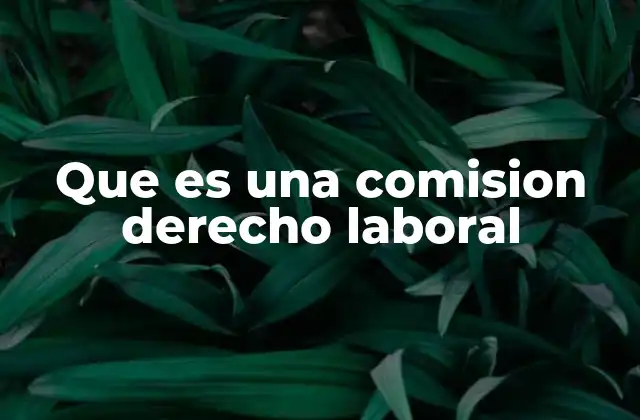 Que es una Comision Derecho Laboral