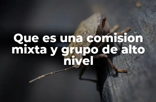 Que es una Comision Mixta y Grupo de Alto Nivel