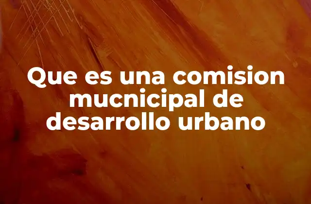 Que es una Comision Mucnicipal de Desarrollo Urbano
