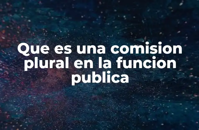 Que es una Comision Plural en la Funcion Publica