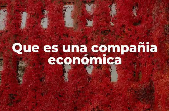 Que es una Compañia Económica