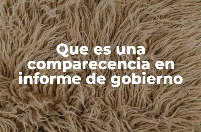Que es una Comparecencia en Informe de Gobierno