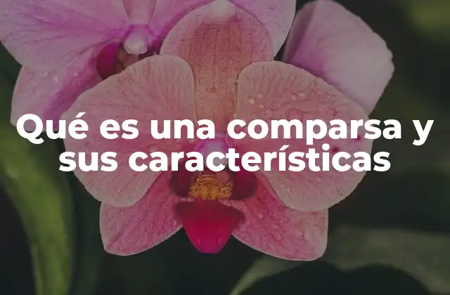 Qué es una Comparsa y Sus Características