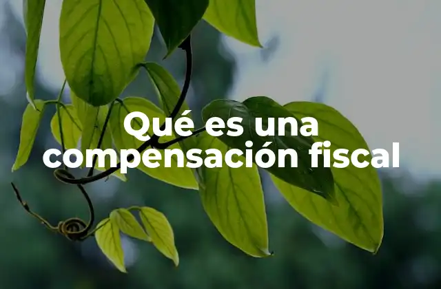 Qué es una Compensación Fiscal