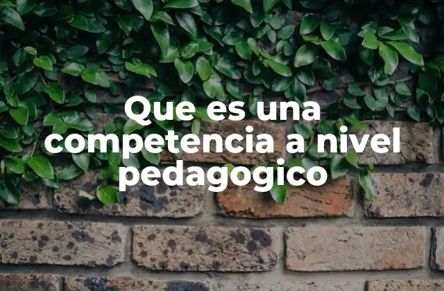 Que es una Competencia a Nivel Pedagogico