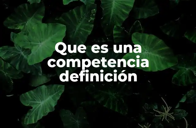 Que es una Competencia Definición