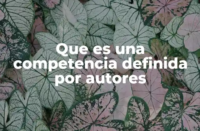 El rol de los autores en la definición de competencias