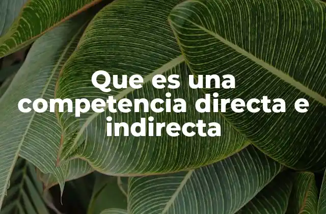 Que es una Competencia Directa e Indirecta 2 El papel de las empresas en el ecosistema de competencia