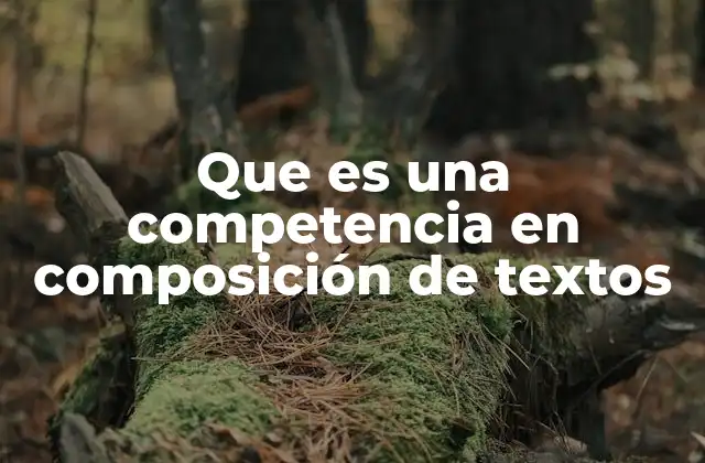 Que es una Competencia en Composición de Textos