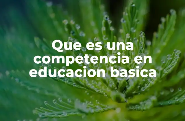 Que es una Competencia en Educacion Basica