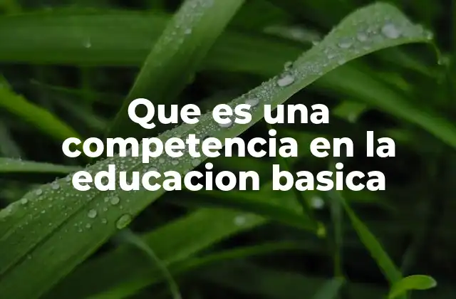 Que es una Competencia en la Educacion Basica
