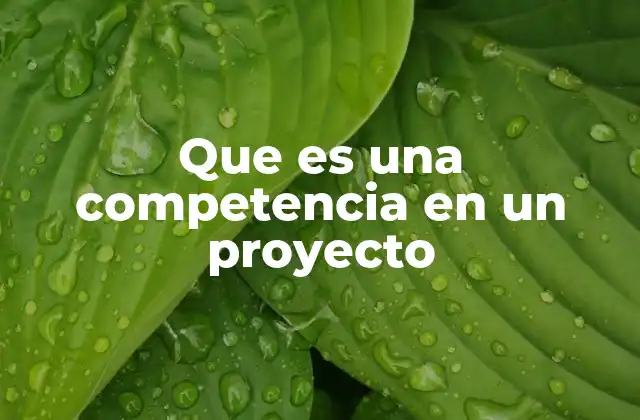 Que es una Competencia en un Proyecto