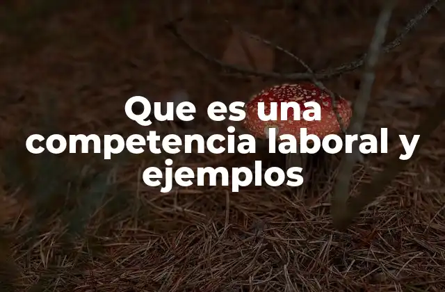 Que es una Competencia Laboral y Ejemplos