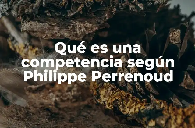 Qué es una Competencia según Philippe Perrenoud
