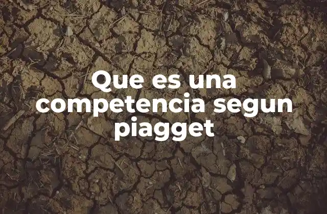 Que es una Competencia Segun Piagget