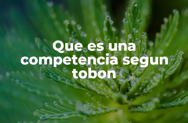 Que es una Competencia Segun Tobon