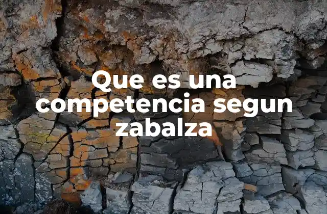 Que es una Competencia Segun Zabalza