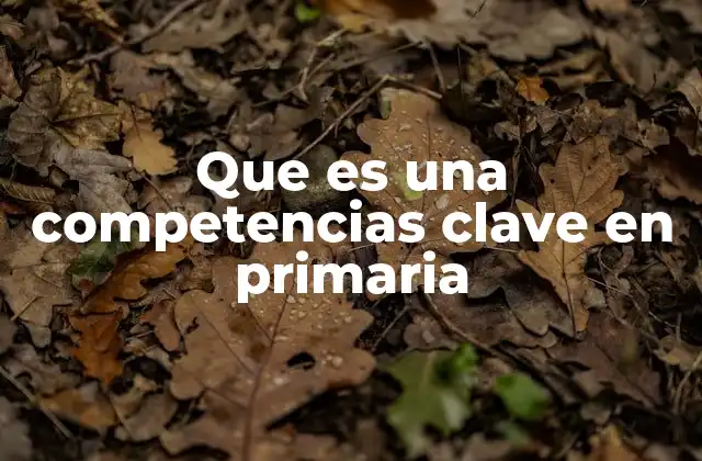 Que es una Competencias Clave en Primaria 2 El papel de las competencias clave en la formación integral