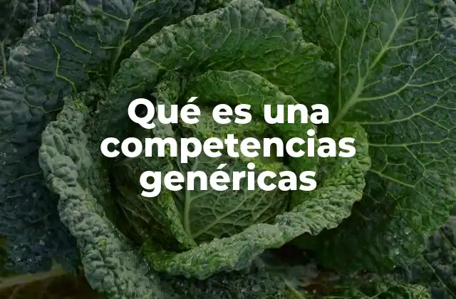 Qué es una Competencias Genéricas