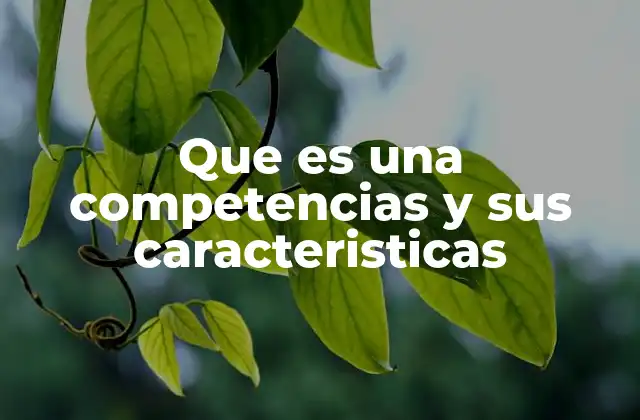 Que es una Competencias y Sus Caracteristicas