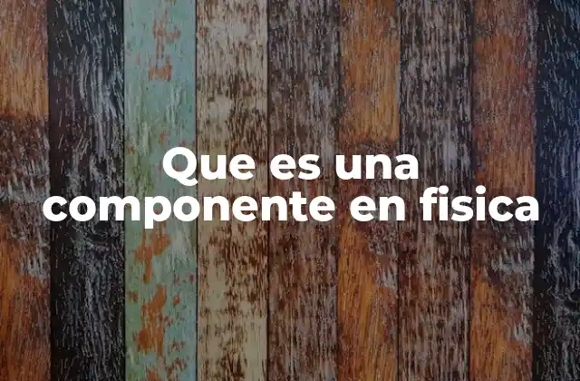 El papel de las componentes en el análisis vectorial