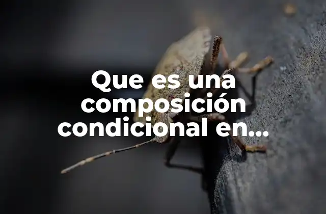 Que es una Composición Condicional en Programacion