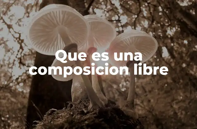 Que es una Composicion Libre