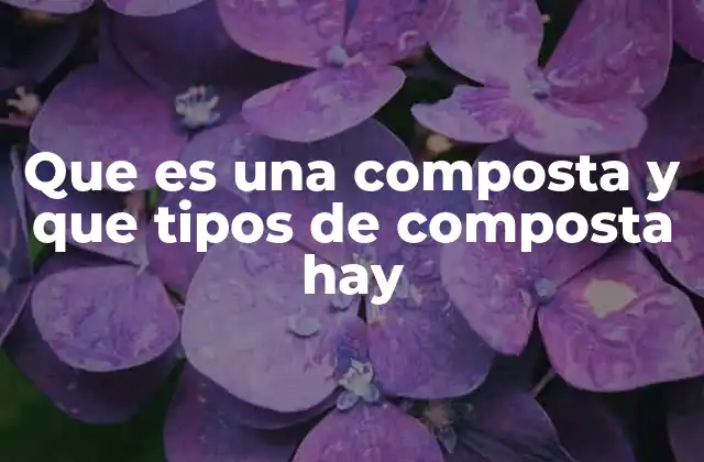 Que es una Composta y que Tipos de Composta Hay