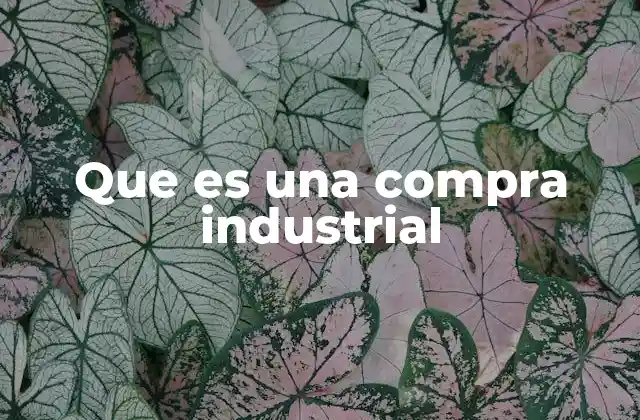Que es una Compra Industrial